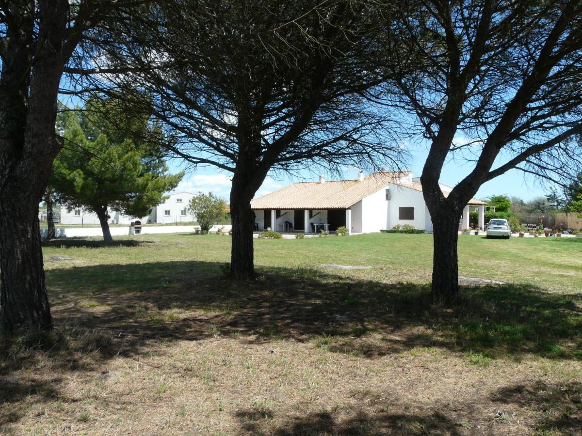 Mas Du Clos De La Barque Saintes-Maries-de-la-Mer Buitenkant foto