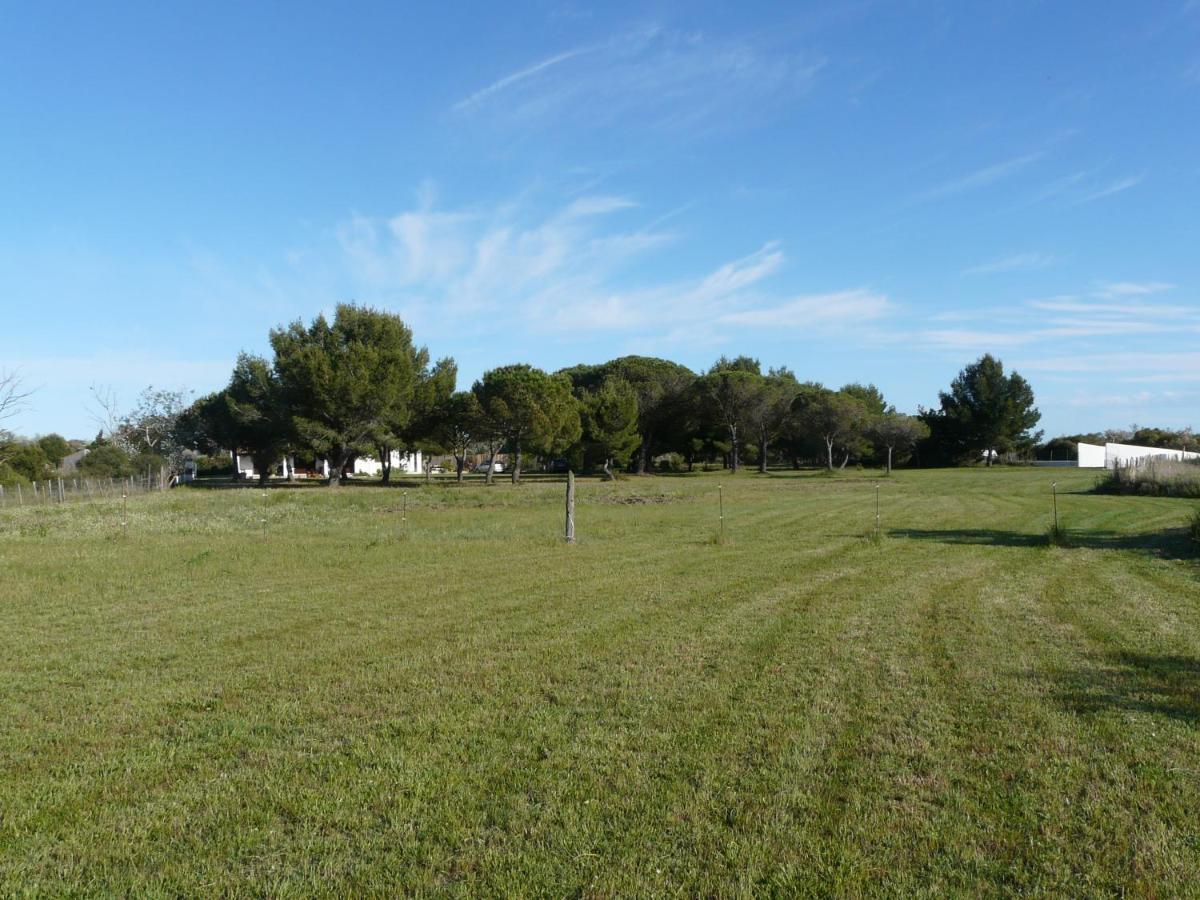 Mas Du Clos De La Barque Saintes-Maries-de-la-Mer Buitenkant foto