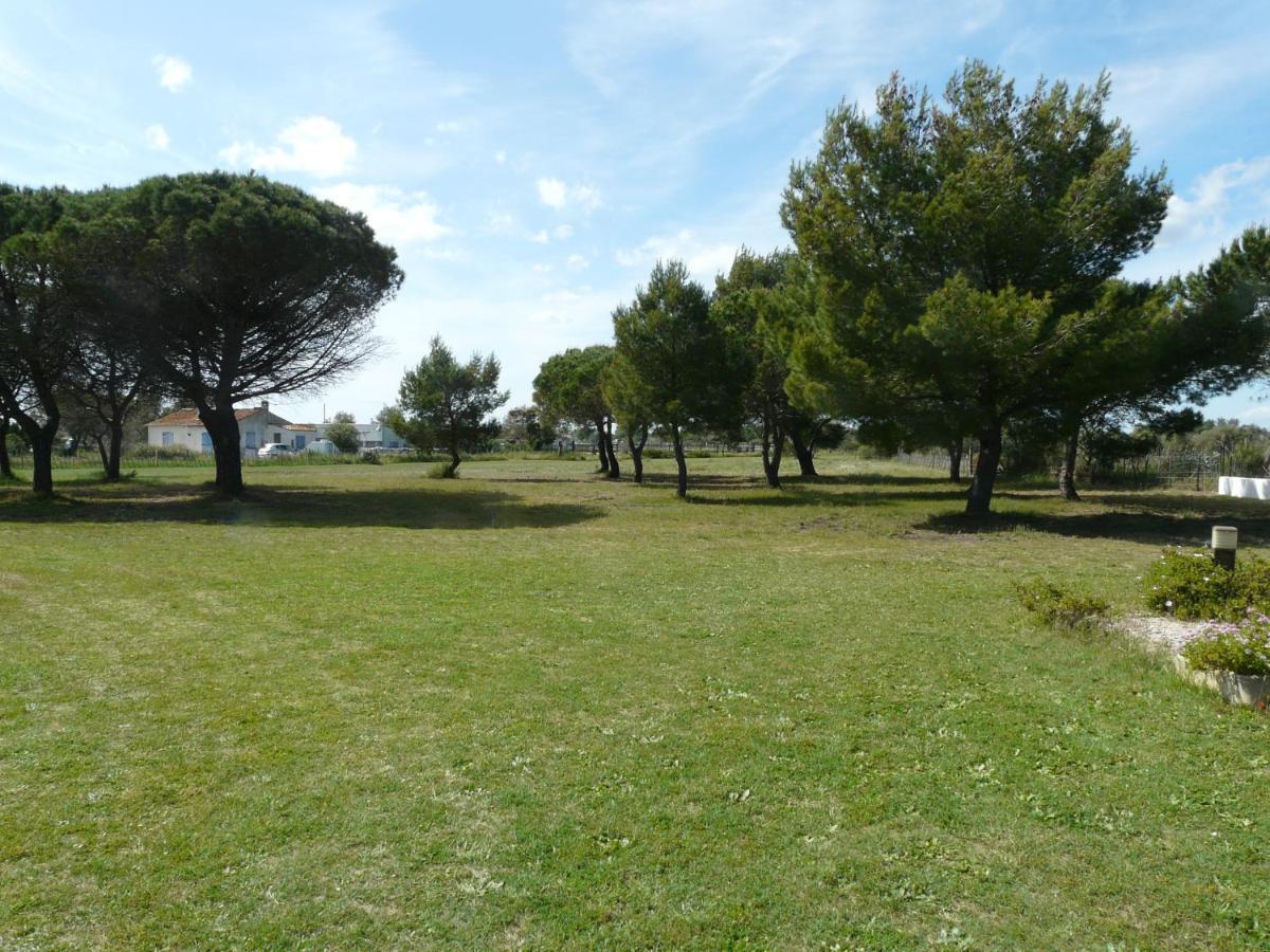 Mas Du Clos De La Barque Saintes-Maries-de-la-Mer Buitenkant foto