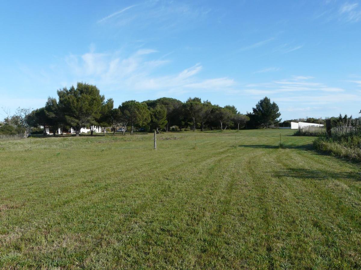 Mas Du Clos De La Barque Saintes-Maries-de-la-Mer Buitenkant foto