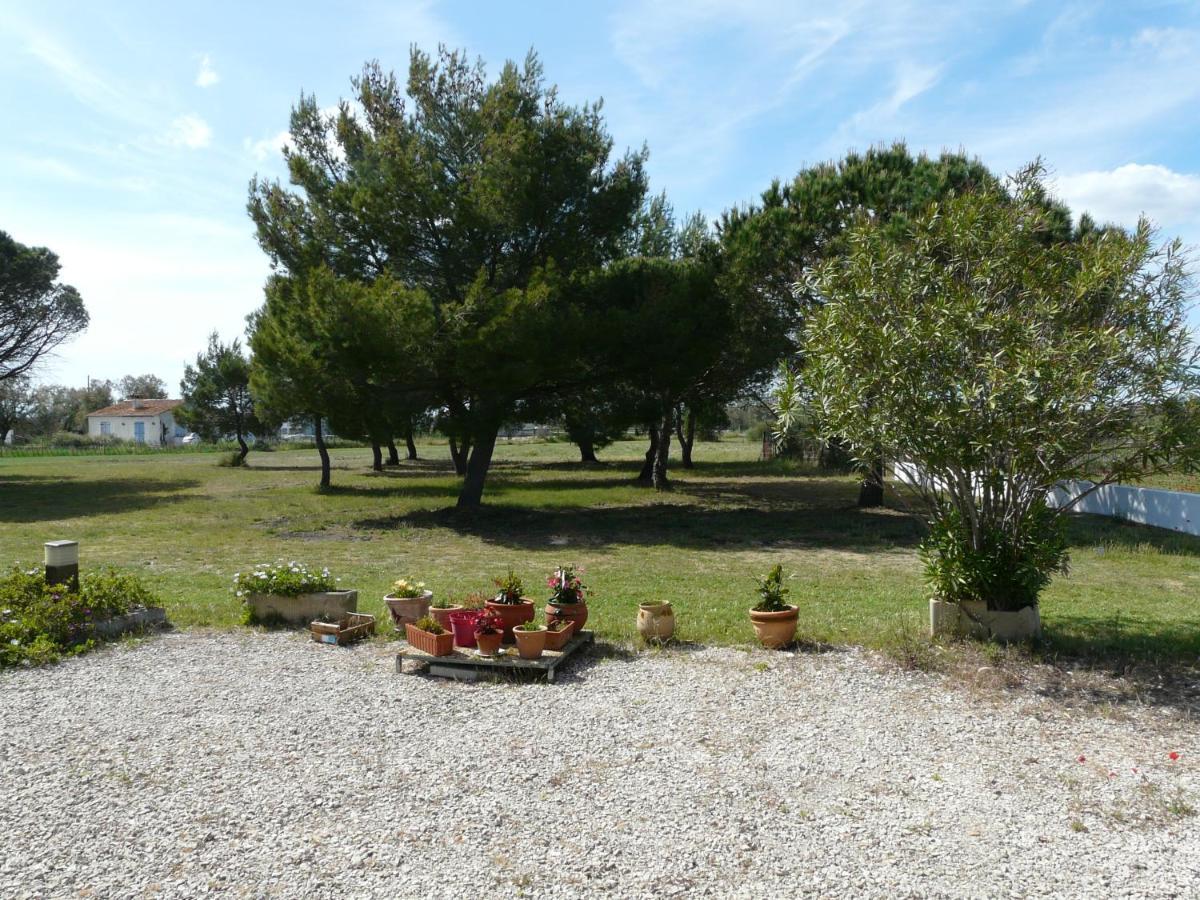 Mas Du Clos De La Barque Saintes-Maries-de-la-Mer Buitenkant foto
