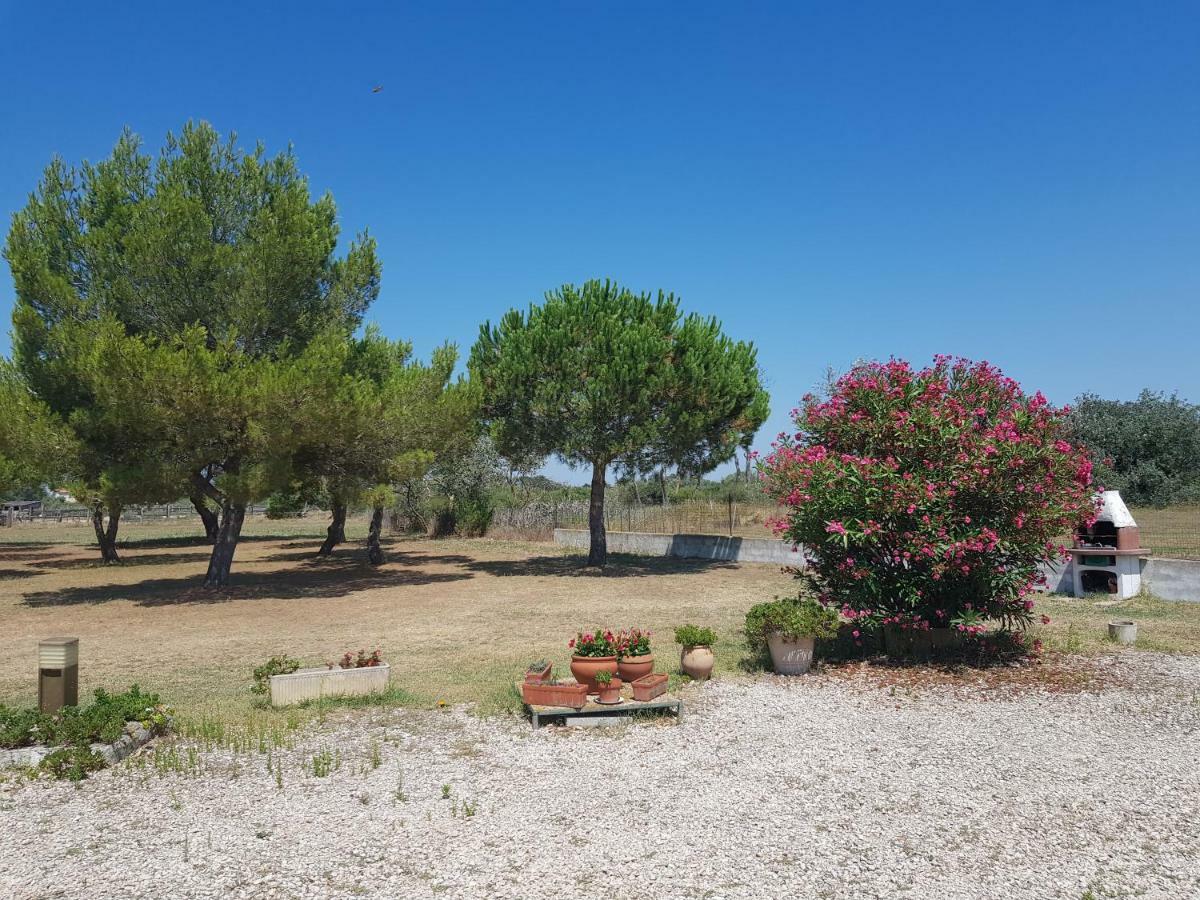 Mas Du Clos De La Barque Saintes-Maries-de-la-Mer Buitenkant foto